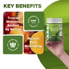 Vitamatic, жевательные таблетки с морингой, без сахара, 240 жевательных таблеток (5000 мг в 1 жевательной таблетке)