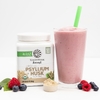 Sunwarrior, Harvest, растительный порошок из органической шелухи подорожника, 330 г