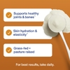 Vital Proteins, пептиды коллагена, со вкусом тыквы, 299 г (10,5 унции)