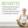 Garden of Life, комплекс витаминов группы В, 60 веганских капсул