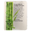 Vitacost, The Clean Collection™, Bamboo Paper Towels, 4 Rolls (Товар снят с продажи) 