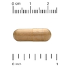 Vitacost, Broccoli Sprouts, 120 Capsules (500 mg per Capsule)