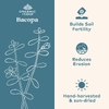 Organic India, бакопа, 60 вегетарианских капсул (350 мг в 1 капсуле)