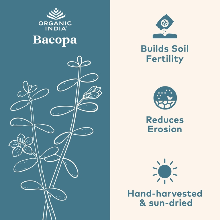 Organic India, бакопа, 60 вегетарианских капсул (350 мг в 1 капсуле)