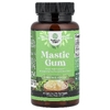 Nature's Craft, мастиковая смола, 60 капсул (500 мг в 1 капсуле)