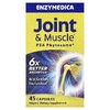 Enzymedica, Фитосома ПЭА для суставов и мышц, 45 капсул (300 мг в капсуле)