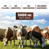 Vitamatic, говяжья печень животных травяного откорма, 180 капсул (500 мг в 1 капсуле)