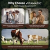 Vitamatic, говяжья печень животных травяного откорма, 180 капсул (500 мг в 1 капсуле)