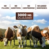 Vitamatic, желчный пузырь с желчью и печенью, 180 капсул (500 мг в 1 капсуле)