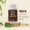 Vitamatic, желчный пузырь с желчью и печенью, 180 капсул (500 мг в 1 капсуле)