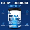 EVLution Nutrition, BCAA Energy®, без добавок, 237 г (8,4 унции)