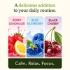 Swanson Vitamins, Mellow Magnesium   Drink Mix, разнообразная упаковка, 30 пакетиков
