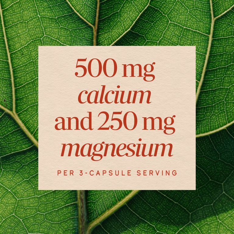 Nature's Way, Комплекс кальция и магния с минералами, 250 капсул