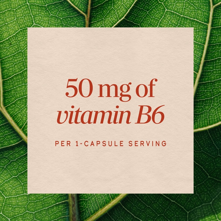 Nature's Way, витамин B6, 50 мг, 100 капсул