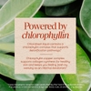 Nature's Way, жидкий хлорофилл Chlorofresh®, без добавок, 132 мг, 480 мл (16 жидких унций)