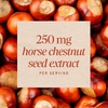 Nature's Way, конский каштан, стандартизированный экстракт, 90 веганских капсул