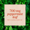 Nature's Way, лист перечной мяты, 100 веганских капсул (350 мг в 1 капсуле)