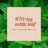 Nature's Way, листья крапивы, 100 веганских капсул (435 мг в 1 капсуле)