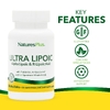 NaturesPlus, комплекс с Альфа-липоевой кислотой и R-липоевой кислотой, 60 мини-таблеток
