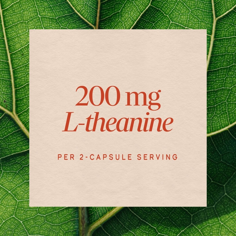 Nature's Way, L-теанин, 60 веганских капсул (100 мг на капсулу)