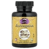 Dragon Herbs, астрагал, 100 капсул (450 мг в 1 капсуле)