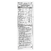 NaturesPlus, мультивитаминная добавка, жидкое средство с тропическими фруктами, 240 мл (8 жидк. Унций)