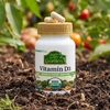 NaturesPlus, витамин Д3, 60 веганских капсул