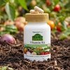 NaturesPlus, витамин K2, 60 веганских капсул