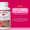 Natural Factors, экстракт виноградных косточек GrapeSeedRich®, 100 мг, 90 вегетарианских капсул