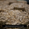 Frontier Co-op, органические палочки цейлонской корицы, 7,62 см (3 дюйма), 453 г (16 унций)