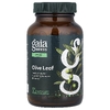 Gaia Herbs, лист оливкового дерева, 120 капсул