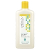 Andalou Naturals, шампунь для укрепления, придания бриллиантового блеска и густоты, подсолнечник и цитрусовые, 340 мл (11,5 жидк. унций)