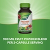 Nature's Way, фруктовая смесь в порошке, 60 веганских капсул