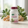 NaturesPlus, гуггул, с замедленным высвобождением, 30 таблеток