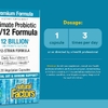 Natural Factors, Формула из 12 штаммов пробиотиков, формула 12/12, 12 млрд КОЕ, 120 вегетарианских капсул