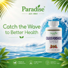 Paradise Herbs, Колеус форсколий, 60 вегетарианских капсул (250 мг на капсулу)