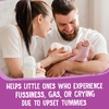 Earth's Best, Органическая смесь для детей с железом, 595 г (21 унция)