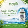 Paradise Herbs, Листья оливкового дерева, 120 вегетарианских капсул (250 мг на капсулу)
