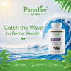 Paradise Herbs, Черника+ с хризантемой и годжи, 60 вегетарианских капсул