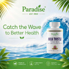 Paradise Herbs, Экстракт расторопши, 120 вегетарианских капсул (250 мг на капсулу)