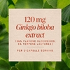 Nature's Way, гинкго, стандартизированный экстракт, 60 веганских капсул