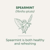 Traditional Medicinals, органическая кудрявая мята, без кофеина, 16 упакованных чайных пакетиков, 24 г (0,85 унции)