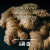 New Chapter, экстракт корневища имбиря, 60 вегетарианских капсул