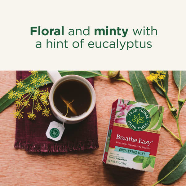 Traditional Medicinals, чай для здоровья дыхательных путей, эвкалипт и мята, без кофеина, 16 чайных пакетиков в упаковке, 24 г (0,85 унции)