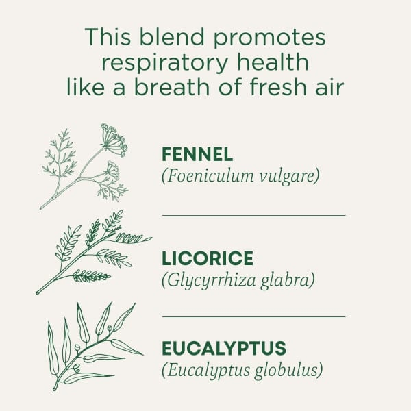 Traditional Medicinals, чай для здоровья дыхательных путей, эвкалипт и мята, без кофеина, 16 чайных пакетиков в упаковке, 24 г (0,85 унции)