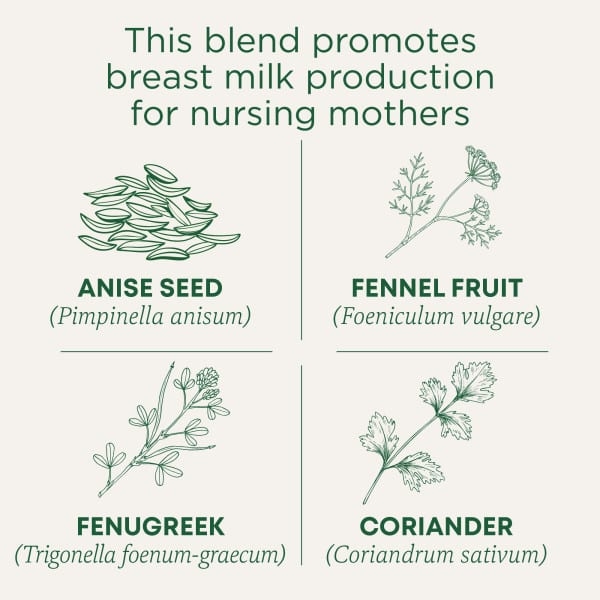 Traditional Medicinals, чай с фенхелем и пажитником для лактации, без кофеина, 16 чайных пакетиков, 28 г (0,99 унции)