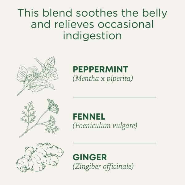 Traditional Medicinals, чай для улучшения пищеварения перечная мята, без кофеина, 16 упакованных чайных пакетиков, 28 г (0,99 унции)