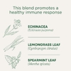Traditional Medicinals, органическая эхинацея, оригинальная с мятой, без кофеина, 16 чайных пакетиков, 24 г (0,85 унции)