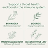Traditional Medicinals, чай для здоровья горла и поддержки иммунитета, лимон и эхинацея, без кофеина, 16 чайных пакетиков, 32 г (1,13 унции)