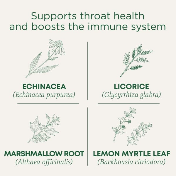 Traditional Medicinals, чай для здоровья горла и поддержки иммунитета, лимон и эхинацея, без кофеина, 16 чайных пакетиков, 32 г (1,13 унции)